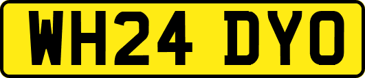 WH24DYO