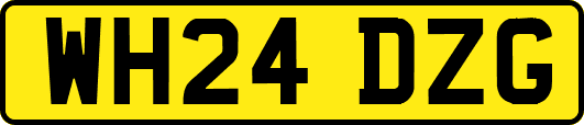 WH24DZG