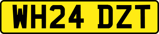 WH24DZT