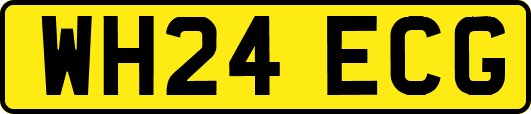 WH24ECG
