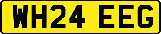 WH24EEG