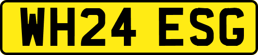 WH24ESG