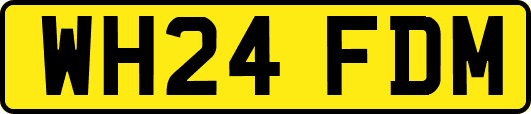 WH24FDM