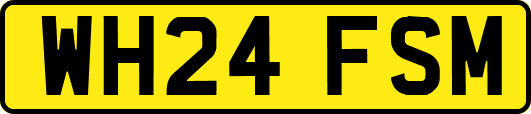 WH24FSM