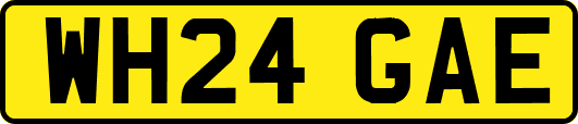 WH24GAE