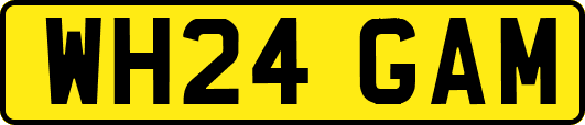 WH24GAM