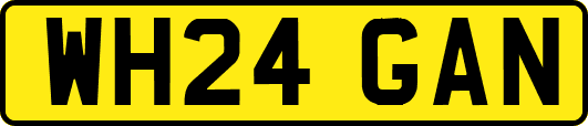 WH24GAN