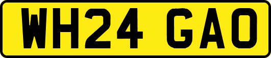 WH24GAO