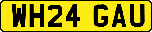 WH24GAU
