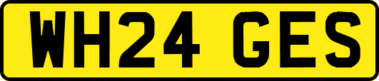 WH24GES