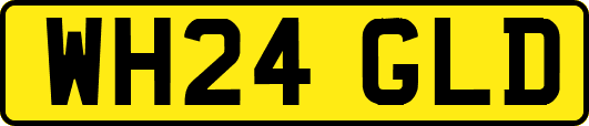 WH24GLD