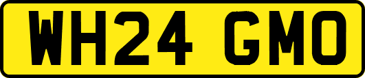 WH24GMO