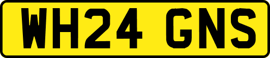 WH24GNS
