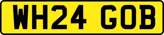 WH24GOB
