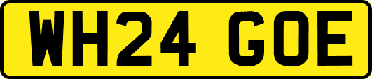 WH24GOE