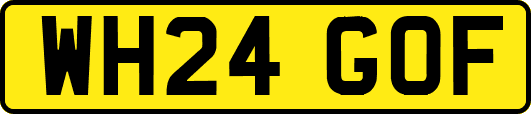 WH24GOF