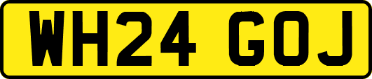 WH24GOJ