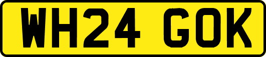 WH24GOK