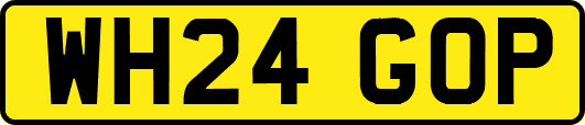 WH24GOP