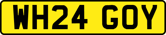 WH24GOY