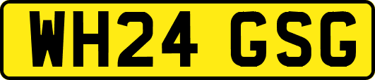 WH24GSG