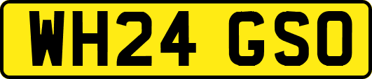 WH24GSO