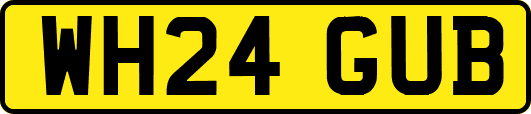 WH24GUB