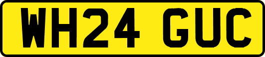 WH24GUC
