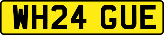 WH24GUE