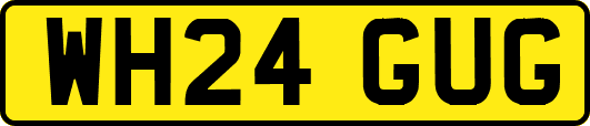 WH24GUG