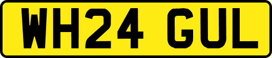 WH24GUL