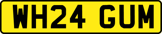 WH24GUM