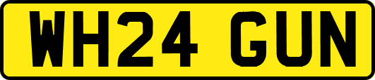 WH24GUN