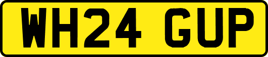 WH24GUP