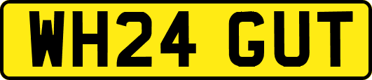 WH24GUT
