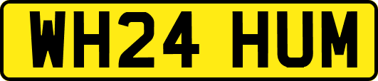 WH24HUM