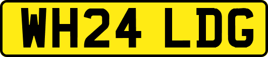 WH24LDG