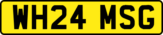 WH24MSG