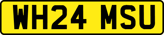 WH24MSU