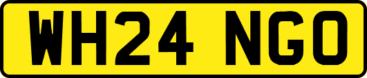 WH24NGO