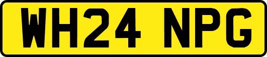 WH24NPG
