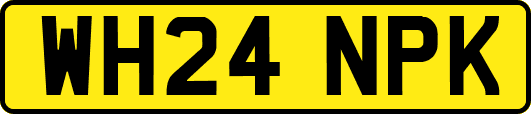WH24NPK
