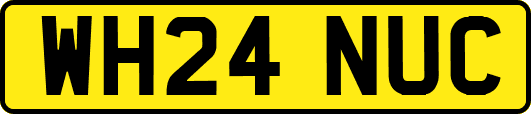 WH24NUC