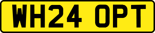 WH24OPT