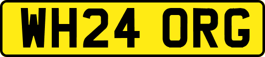 WH24ORG