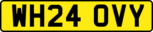 WH24OVY
