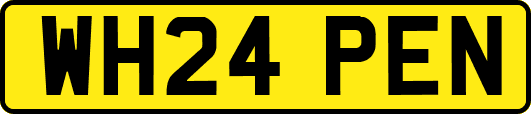 WH24PEN