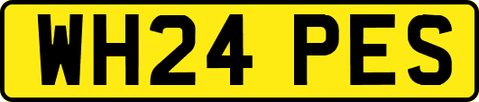 WH24PES
