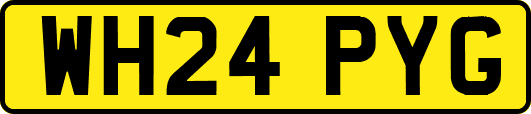 WH24PYG