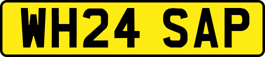 WH24SAP